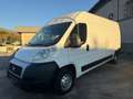 Fiat Ducato FIAT DUCATO MAXI Blanco - thumbnail 4