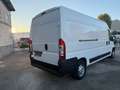 Fiat Ducato FIAT DUCATO MAXI Blanco - thumbnail 23