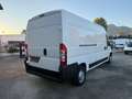 Fiat Ducato FIAT DUCATO MAXI Blanco - thumbnail 22