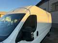 Fiat Ducato FIAT DUCATO MAXI Blanco - thumbnail 27