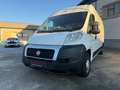 Fiat Ducato FIAT DUCATO MAXI Blanco - thumbnail 2