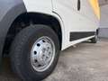 Fiat Ducato FIAT DUCATO MAXI Blanco - thumbnail 26
