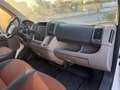 Fiat Ducato FIAT DUCATO MAXI Blanco - thumbnail 11
