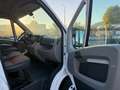 Fiat Ducato FIAT DUCATO MAXI Blanco - thumbnail 13