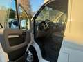 Fiat Ducato FIAT DUCATO MAXI Blanco - thumbnail 5