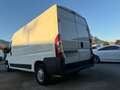 Fiat Ducato FIAT DUCATO MAXI Blanco - thumbnail 25