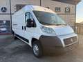 Fiat Ducato FIAT DUCATO MAXI Blanco - thumbnail 3