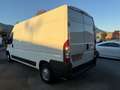 Fiat Ducato FIAT DUCATO MAXI Blanco - thumbnail 21
