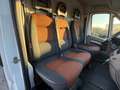 Fiat Ducato FIAT DUCATO MAXI Blanco - thumbnail 12