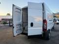 Fiat Ducato FIAT DUCATO MAXI Blanco - thumbnail 20