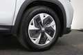Skoda Kodiaq Business Edition 1.5 TSI e-TEC 110 kW / 150 pk DSG Grijs - thumbnail 16