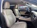 Lexus RX 450h RX 450h 3.5 Luxury 263cv cvt + Premium Pack Blue - thumbnail 7