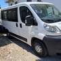 Fiat Ducato 33 2.3 MJT PC-TN Panorama Blanc - thumbnail 5