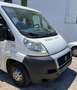 Fiat Ducato 33 2.3 MJT PC-TN Panorama Blanc - thumbnail 3