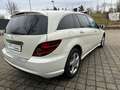 Mercedes-Benz R 500 L 4Matic AMG-Line/7Sitzer/Bix./Memory Weiß - thumbnail 9