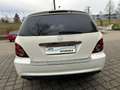Mercedes-Benz R 500 L 4Matic AMG-Line/7Sitzer/Bix./Memory Weiß - thumbnail 10