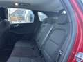 Ford Kuga Cool & Connect 2,0 EBlue 120PS A8 F Rot - thumbnail 12