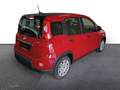 Fiat Panda Pandina City Paket DAB Spurhalteass. Verkehrszeich Rot - thumbnail 7