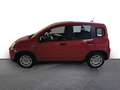 Fiat Panda Pandina City Paket DAB Spurhalteass. Verkehrszeich Rot - thumbnail 3