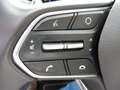 Hyundai SANTA FE Santa Fe 5 Level 6 2,0 CRDI 4WD AT *Standheizung* Gris - thumbnail 19