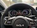 Kia Ceed / cee'd 1,0 T-GDI GPF Silber Weiß - thumbnail 11