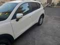 Mazda CX-5 2.2 Evolve 4wd 150cv my15 - thumbnail 6