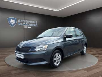 1.0 TSI Active CAR-PLAY*KLIMA*SHZ Klima