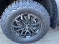 Ford Ranger Raptor Ford Ranger Raptor 292PS Benzin/Automatik 3.0L ... Weiß - thumbnail 9