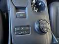 Ford Ranger Raptor Ford Ranger Raptor 292PS Benzin/Automatik 3.0L ... Weiß - thumbnail 25