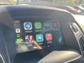Ford Focus Wagon 1.5 Turbo Titanium Business Carplay / Parkee Rouge - thumbnail 12