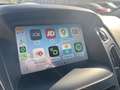 Ford Focus Wagon 1.5 Turbo Titanium Business Carplay / Parkee Rouge - thumbnail 10