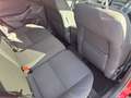 Ford Focus Wagon 1.5 Turbo Titanium Business Carplay / Parkee Rouge - thumbnail 24