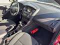 Ford Focus Wagon 1.5 Turbo Titanium Business Carplay / Parkee Rouge - thumbnail 25