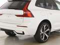 Volvo XC60 T8 Ultra Dark Recharge Plug-In Hybrid AWD Weiß - thumbnail 9