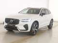 Volvo XC60 T8 Ultra Dark Recharge Plug-In Hybrid AWD Weiß - thumbnail 1