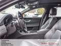 Jaguar XF 2,0D Portfolio Sportbrake *AHK*Panorama Grau - thumbnail 10
