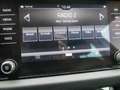 Skoda Kodiaq 2.0 TDI AMBITION DSG 7-SEATS NAV CAMERA CLIMA . ** Gris - thumbnail 27