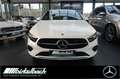 Mercedes-Benz A 200 Progressive 7G LED RFK LHZ AHK Weiß - thumbnail 14