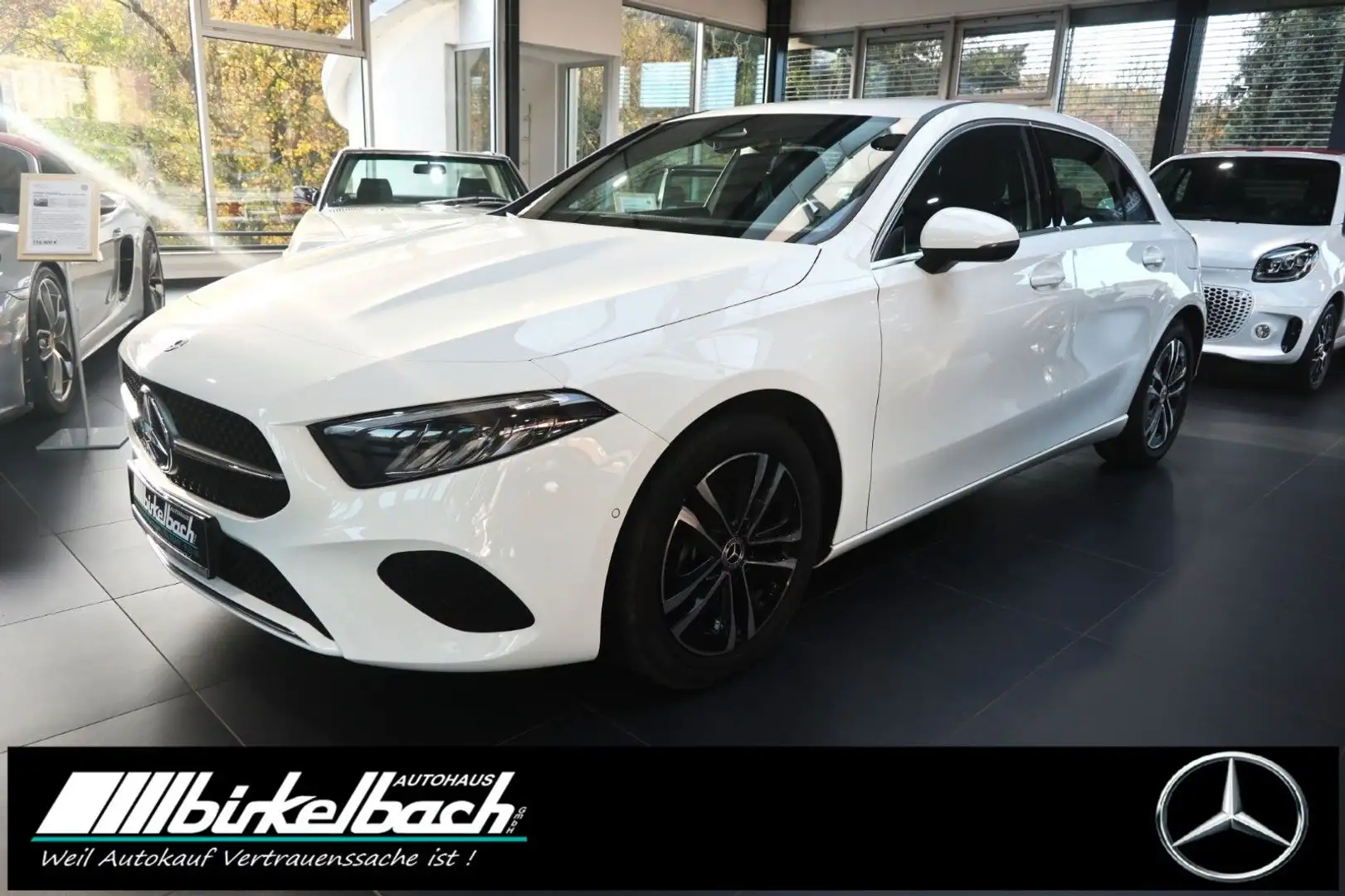 Mercedes-Benz A 200 Progressive 7G LED RFK LHZ AHK Weiß - 1