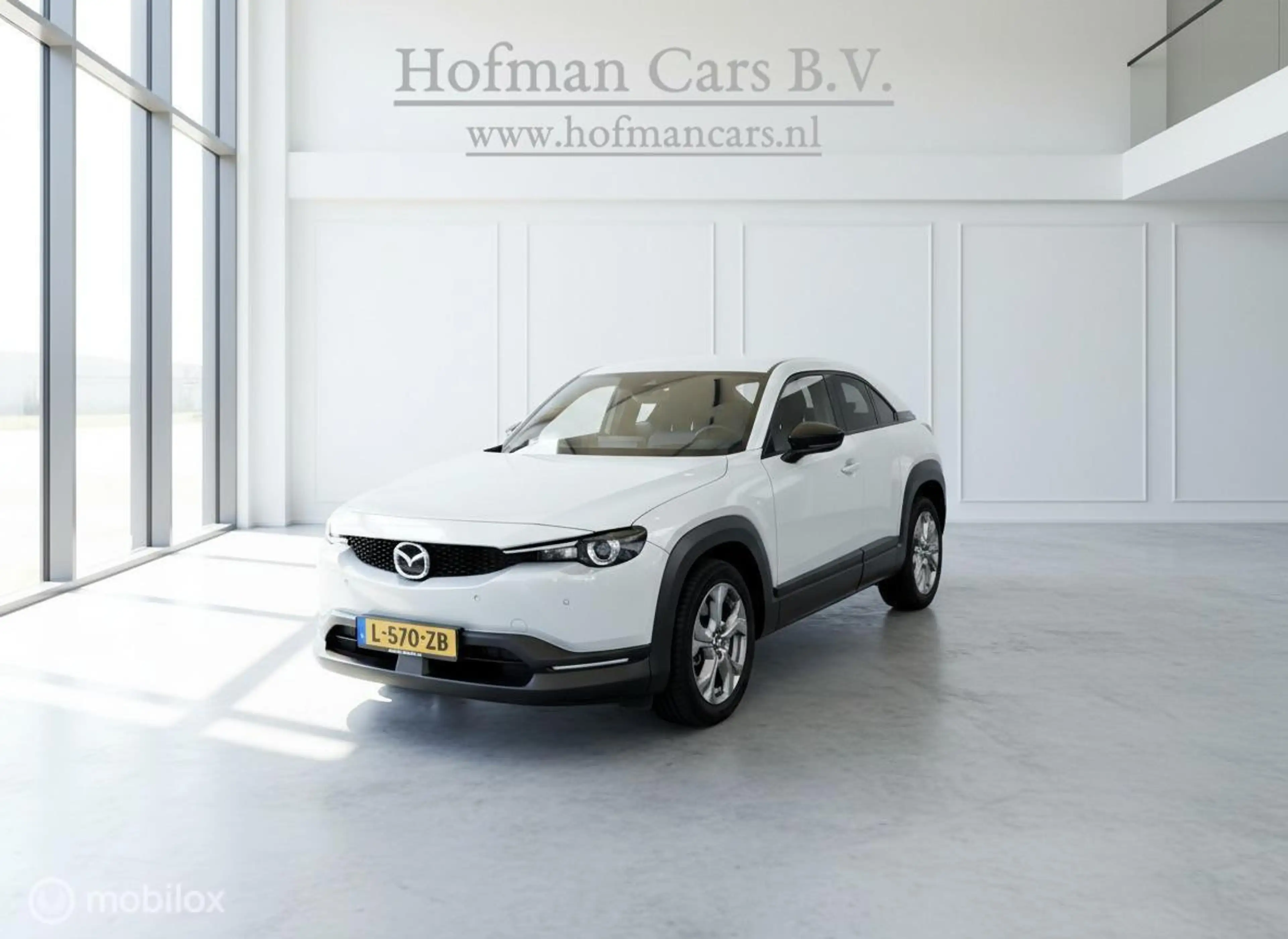 Mazda MX-30 e-SkyActiv 145 | 36 kWh | SOH 93% | 74.768 km | Ce