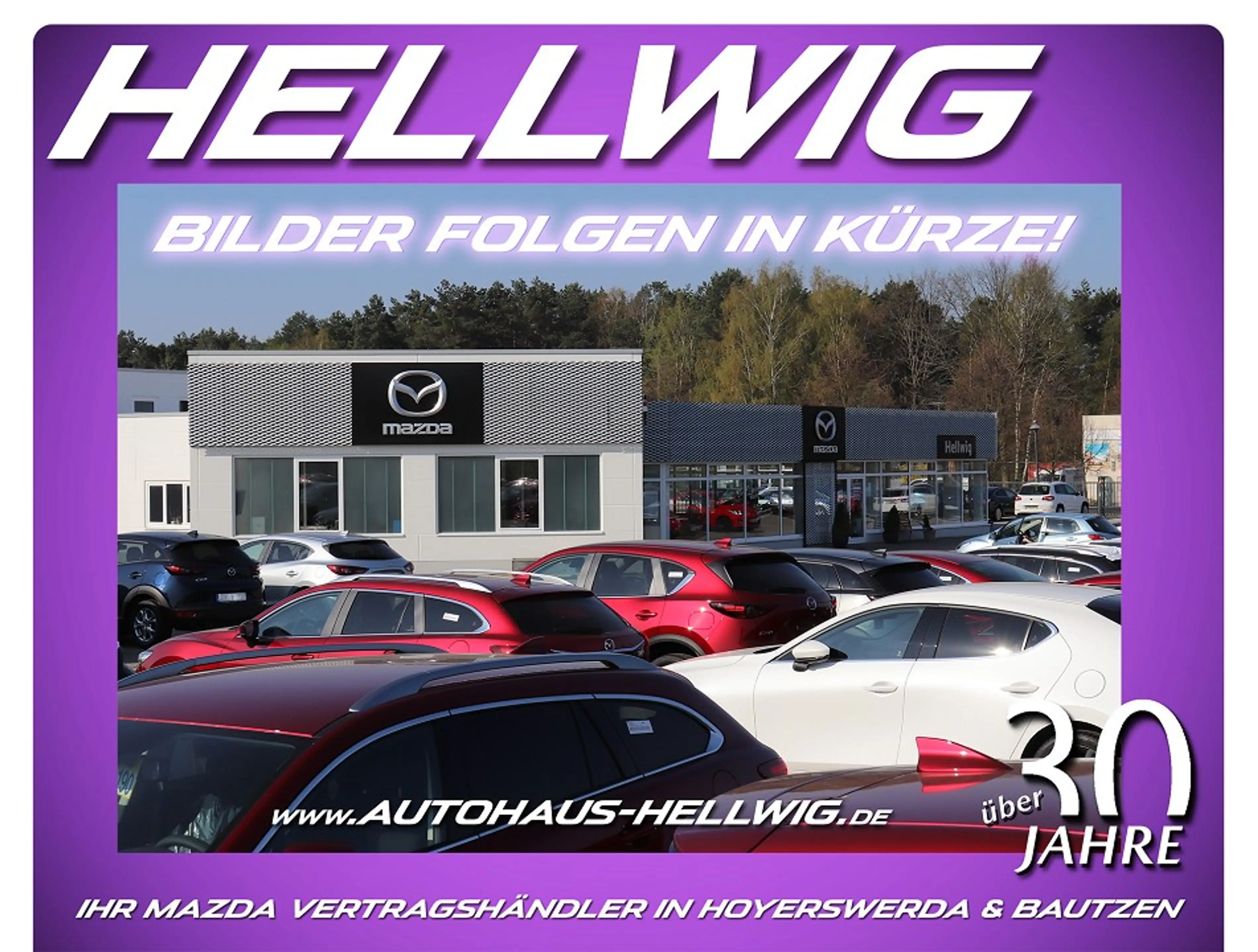 Mazda 3 5-Türer 2.5l (140PS) Nagisa Teilleder Bose Navi 20