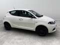 Lancia Ypsilon 1.0 FireFly Hybrid Silver Wit - thumbnail 7