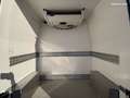 Renault Master 12990 ht l2h2 frigorifique FRCX - thumbnail 5