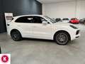 Porsche Cayenne 3.0 V6 Bianco - thumbnail 7