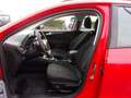 Ford Focus 1.0 EcoBoost Hybrid 125CV 5p. Active Rosso - thumbnail 10