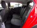 Ford Focus 1.0 EcoBoost Hybrid 125CV 5p. Active Rosso - thumbnail 11