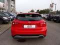 Ford Focus 1.0 EcoBoost Hybrid 125CV 5p. Active Rosso - thumbnail 7