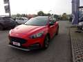 Ford Focus 1.0 EcoBoost Hybrid 125CV 5p. Active Rosso - thumbnail 3
