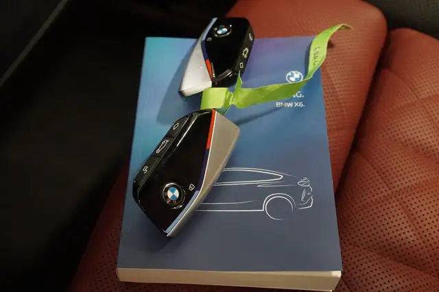 BMW X6 xDrive30d 48V Aut. M-Paket Pro/Leder/21"/Massage Ansicht 19