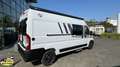 Carado Camper Van CV 600 Wit - thumbnail 4